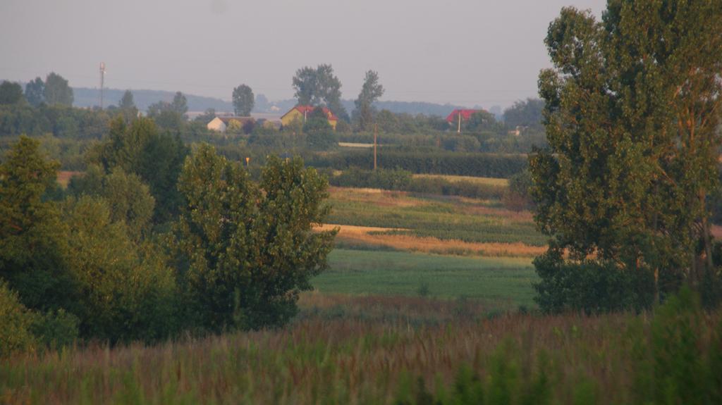 Dwór na Wichrowym Wzgórzu Przybysławice Exterior foto