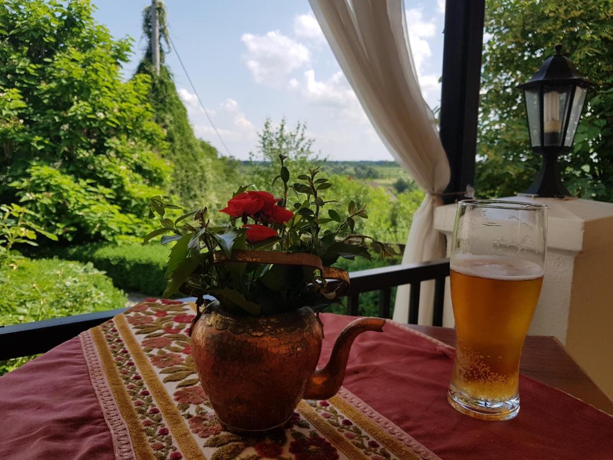 Dwór na Wichrowym Wzgórzu Przybysławice Exterior foto
