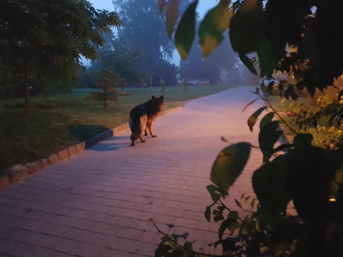 Dwór na Wichrowym Wzgórzu Przybysławice Exterior foto